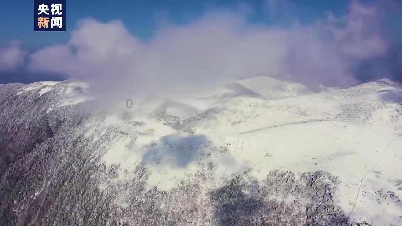 公证处在哪里_查找本地公证处