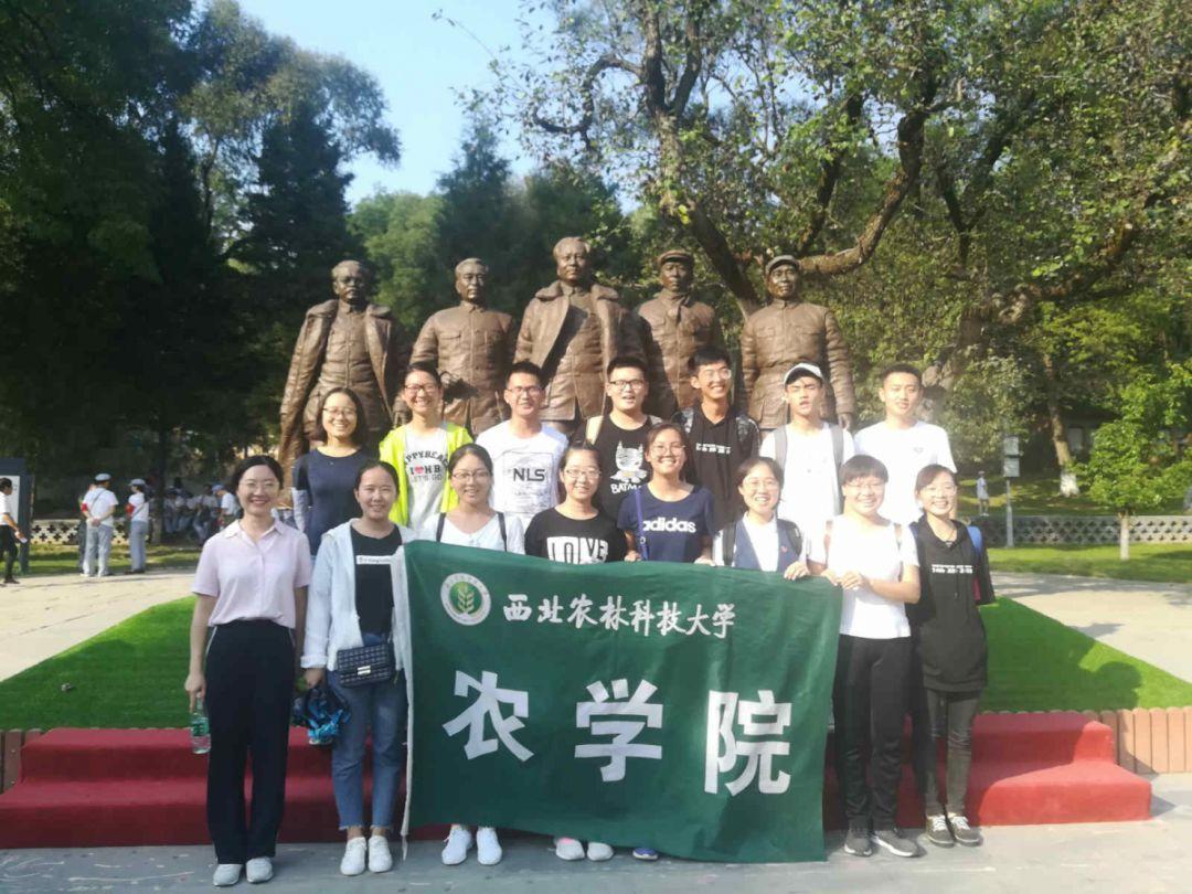 首台全岩掘进机顺利入井
